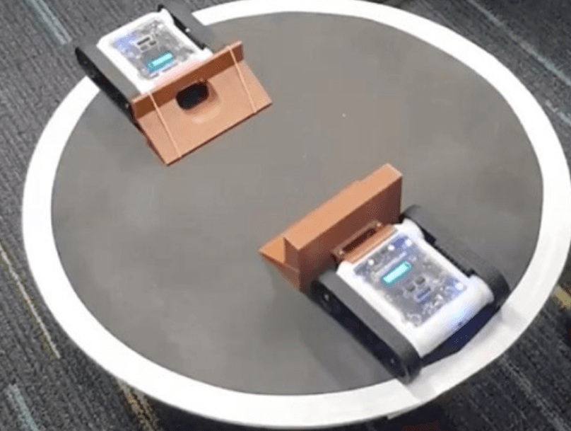 Activity: Sumo I